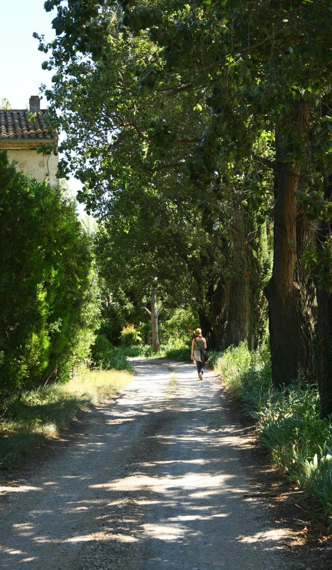 La Nesquière Chambres d'Hôtes Pernes-les-Fontaines Esterno foto